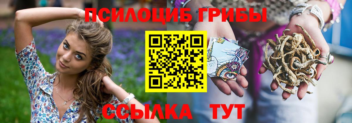 Галлюциногенные грибы мухоморы Тобольск