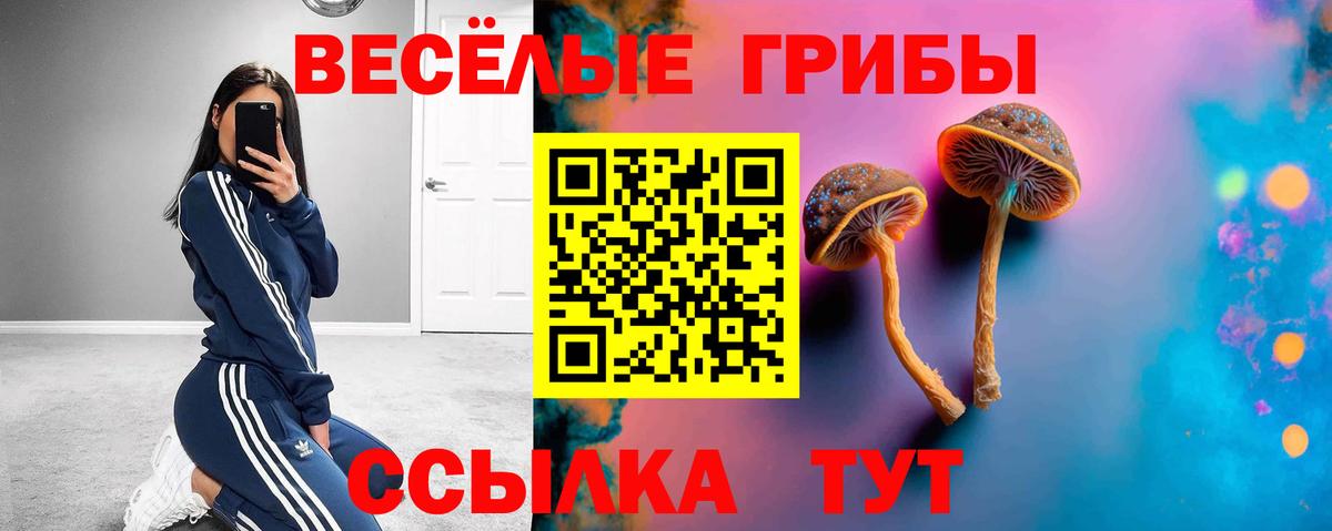 Псилоцибиновые грибы мицелий  цена наркотик  Псилоцибиновые грибы GOLDEN TEACHER  Тобольск  Вход с VPN 